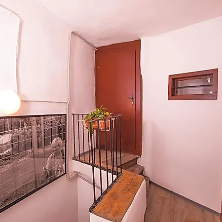 Deznik Albergue *